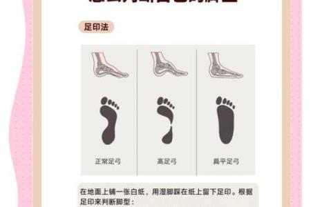 根据什么样的脚后跟命好：揭秘脚型与命运之间的奇妙关系