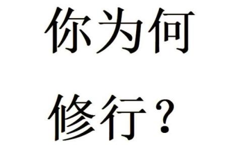 霹雳火与命运：探寻上等命的真谛与奥秘