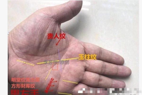 解读手相中玉柱纹的奥秘：命运与手相的深度关联