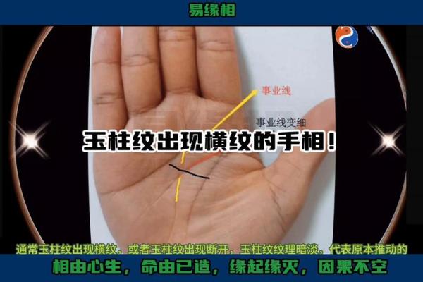 解读手相中玉柱纹的奥秘：命运与手相的深度关联