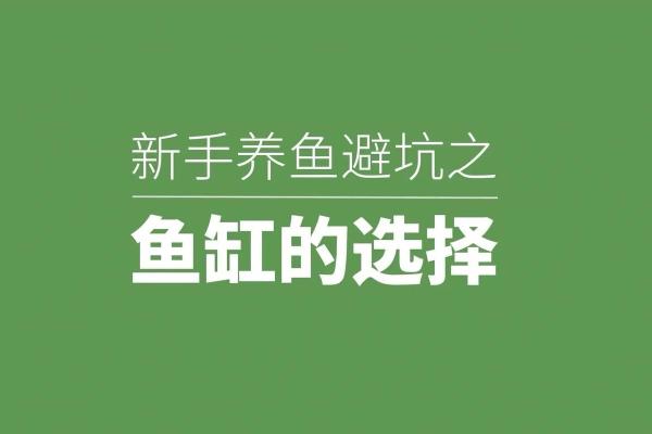 根据命理选择养鱼,打造与众不同的水族世界! 根据命理选择养鱼,打造与众不同的水族世界!