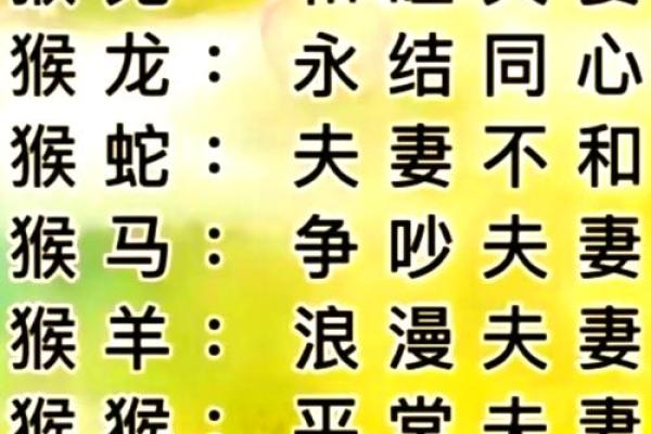 男属龙女属猴：天生一对的命理结合探讨