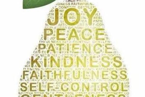 神与百姓的约定:申命记29章的启示 神与百姓的约定:申命记29章的启示