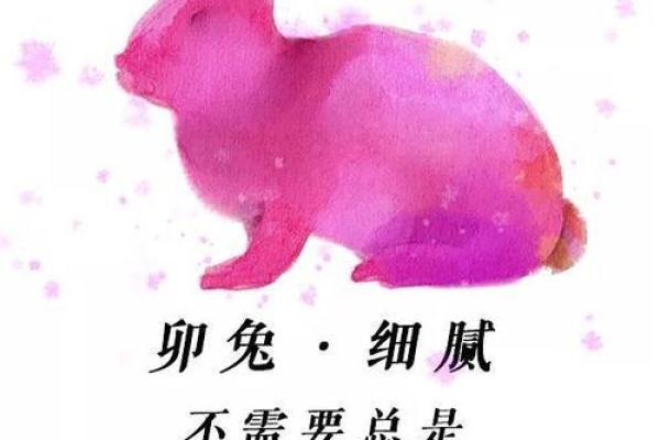 属兔30岁：命运与人生的转折点，如何把握机会？