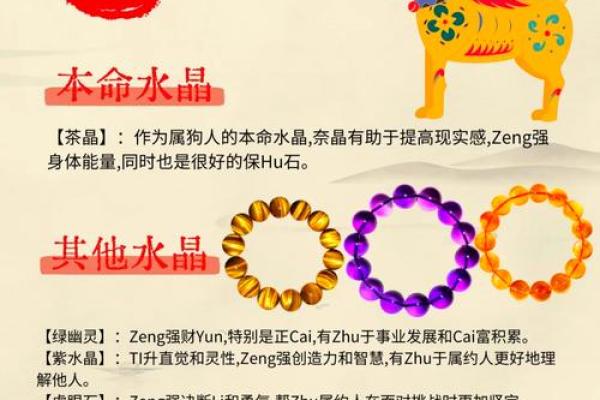 属狗6月出生的命运解析:忠诚与好运的结合 属狗6月出生的命运解析:忠诚与好运的结合