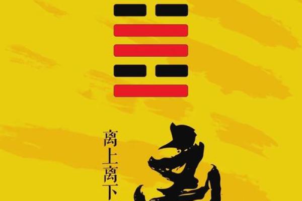 男命命卦“离”字解读：深探命理背后的智慧与启示