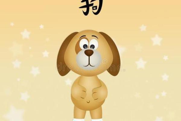 属狗的命好运：关键时间节点和命理分析