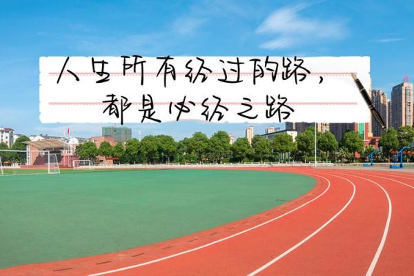 命运的舞台：掌握命运的每一步，勇敢追寻自己的人生之路