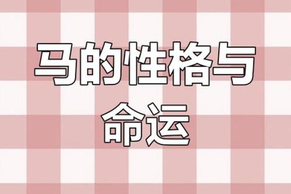 属马之人：10月16日的命运解析与生活启示