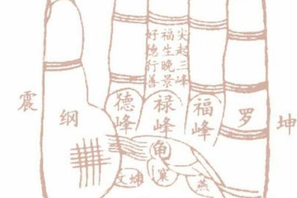手相解析:震宫与坤宫代表的命运奥秘 手相解析:震宫与坤宫代表的命运奥秘