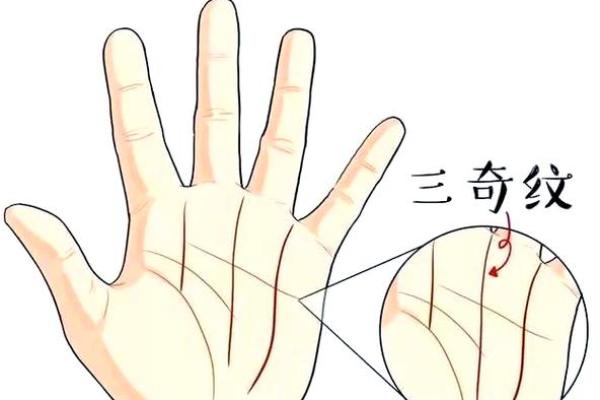 手相解析:震宫与坤宫代表的命运奥秘 手相解析:震宫与坤宫代表的命运奥秘
