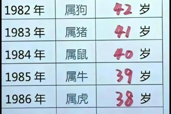 三十岁属龙的命运解析：如何掌握人生的黄金期