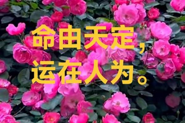 根据不同节气出生的孩子命运分析：让我们一同揭开命运的秘密