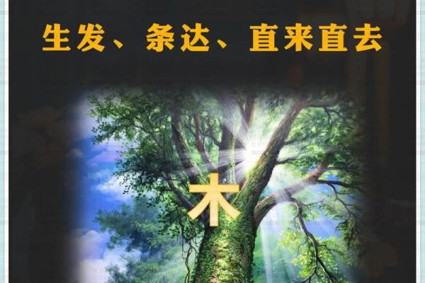 木命与土命的颜色搭配：找到和谐美丽之道