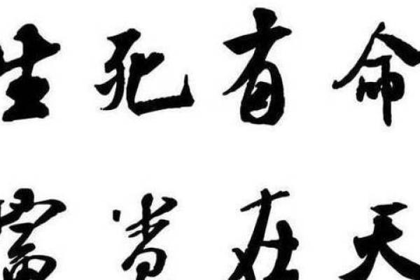 穷命富贵命:命运的深刻解读与人生哲学探寻 穷命富贵命:命运的深刻解读与人生哲学探寻