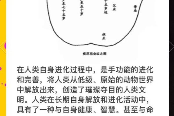手指之谜：只有两根手线的人生命运解析