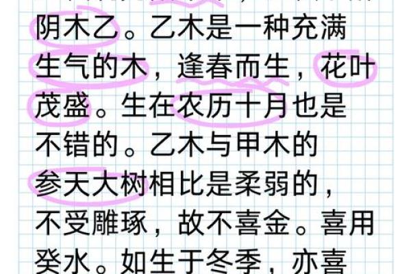 揭开乙木命的神秘面纱：什么出生日期让你成为乙木命？