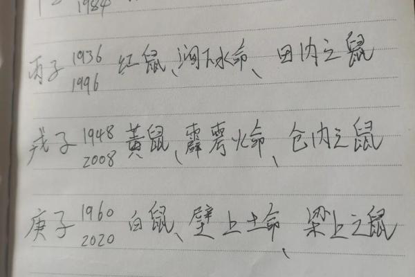 木命与火命的最佳养宠选择——给你灵感与指导！