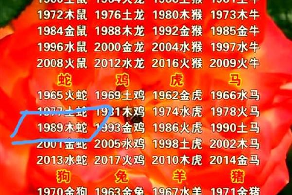 木命与火命的最佳养宠选择——给你灵感与指导！