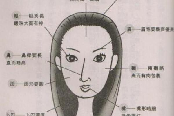 什么脸型长大当官命好,解析面相与人生轨迹 什么脸型长大当官命好,解析面相与人生轨迹