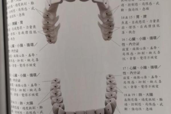 木命与龙命的区别:解密命理中的两个独特象征 木命与龙命的区别:解密命理中的两个独特象征