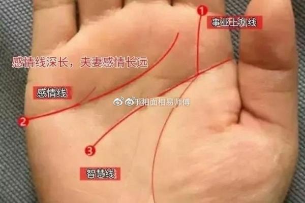 从手相看男人命格:女人的手掌揭示他的命运之路 从手相看男人命格:女人的手掌揭示他的命运之路