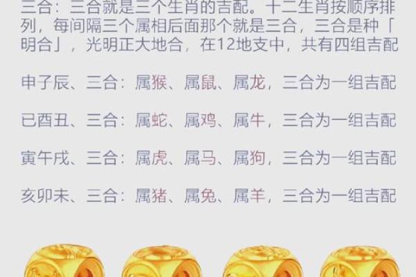 生肖猴三合贵人与命运的深刻关系探究