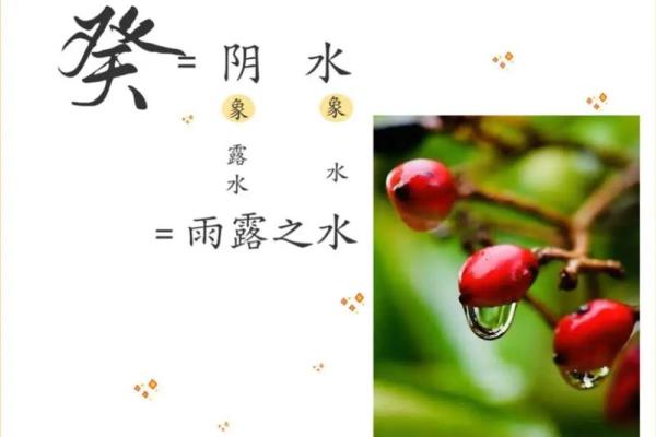 如何辨别癸水命人的性格特征与命运运势 如何辨别癸水命人的性格特征与命运运势