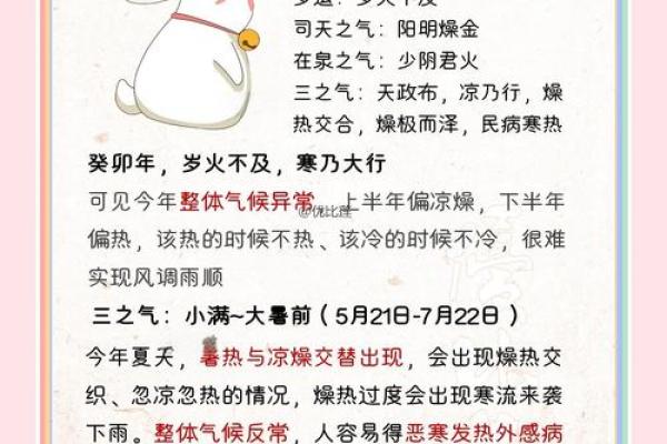 什么是癸卯命格命局?解锁命理的奥秘与智慧 什么是癸卯命格命局?解锁命理的奥秘与智慧