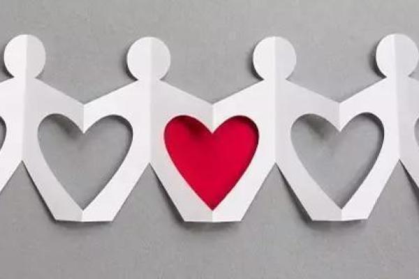 申真命小金：探索人与人之间的真实与温暖