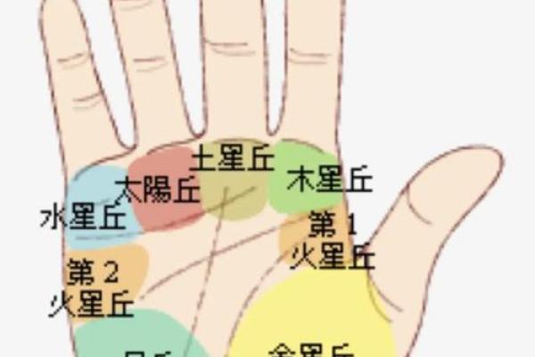 手纹与命盘:解读手掌的命运密码,探寻人生轨迹的奥秘 手纹与命盘:解读手掌的命运密码,探寻人生轨迹的奥秘