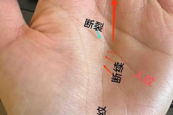 手纹与命盘:解读手掌的命运密码,探寻人生轨迹的奥秘 手纹与命盘:解读手掌的命运密码,探寻人生轨迹的奥秘