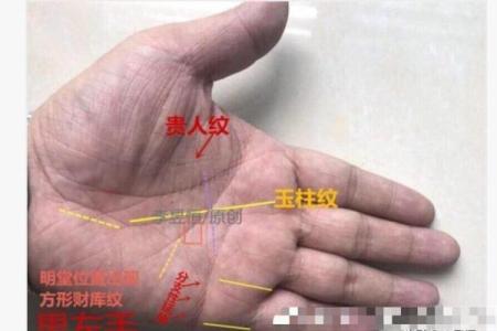 解读手相中玉柱纹的奥秘：命运与手相的深度关联