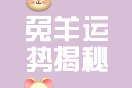 属兔30岁：命运与人生的转折点，如何把握机会？