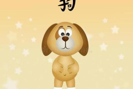 属狗的命好运：关键时间节点和命理分析