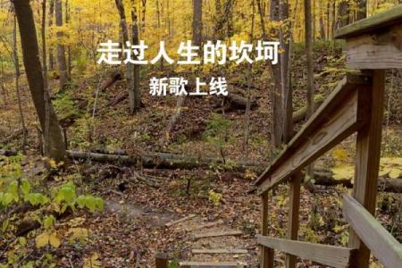 命运的舞台：掌握命运的每一步，勇敢追寻自己的人生之路