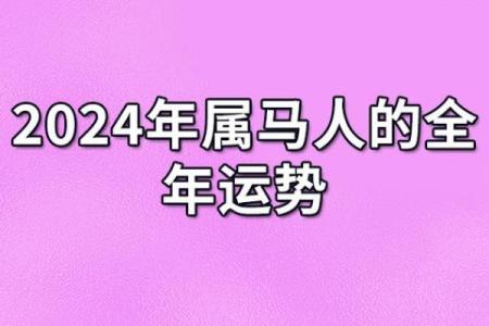 属马之人：10月16日的命运解析与生活启示