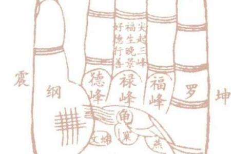 手相解析：震宫与坤宫代表的命运奥秘