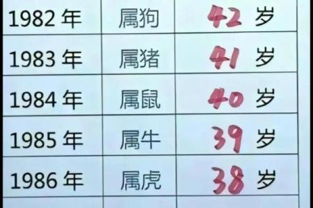 三十岁属龙的命运解析：如何掌握人生的黄金期