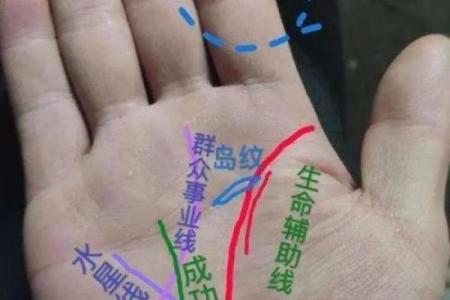 手指之谜：只有两根手线的人生命运解析