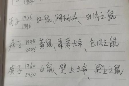 木命与火命的最佳养宠选择——给你灵感与指导！