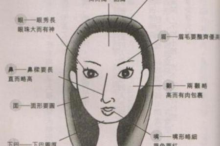 什么脸型长大当官命好，解析面相与人生轨迹