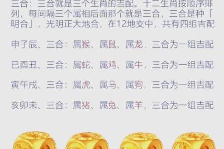 生肖猴三合贵人与命运的深刻关系探究