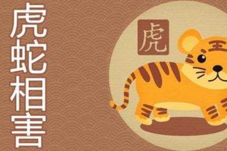 属虎与蛇的生肖命运揭秘：阳光下的生辰密码