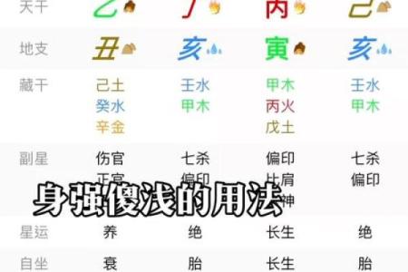 如何快速掌握八字命理？从入门到精通的学习之路