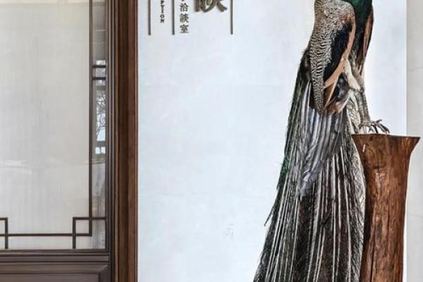 属牛的兔吃草命：细说命理与生活的完美交融