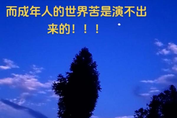 那些让命运苦涩的无奈与坚持 那些让命运苦涩的无奈与坚持