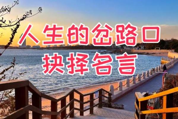 命运的选择：如何将“什么就是你的命”转化为成功的指南