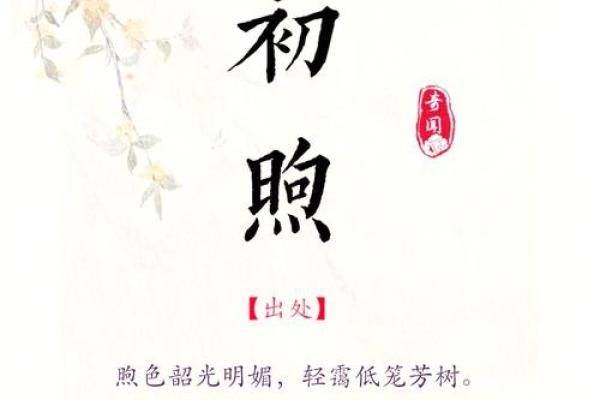 平地木命人的命名艺术：取个好名字，助你前途光明！
