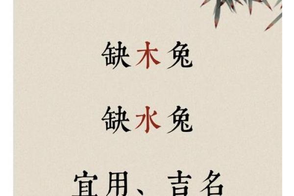 缺木和水命格的深度解析与生活指导
